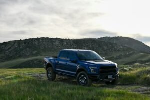 a blue truck is parked in a grassy field
